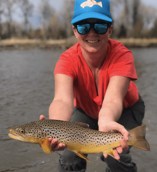 Montana Brown Trout Fly Fishing